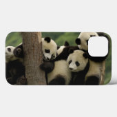 Pandababys Ailuropoda melanoleuca) 4 Case-Mate iPhone Hülle (Rückseite (Horizontal))