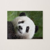 PandaBärenjunges Puzzle (Horizontal)