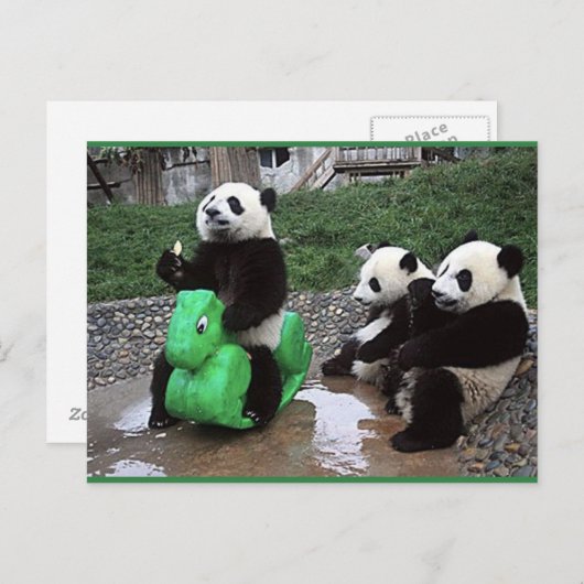 Pandabeer Postkarte (Vorne/Hinten)