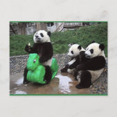 Pandabeer Postkarte (Vorderseite)