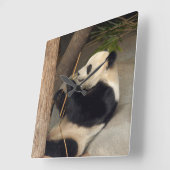 PandaM015 Quadratische Wanduhr (Winkel)