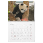 PandaM016, Panda-Bär Kalender (Jan 2027)
