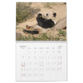 PandaM016, Panda-Bär Kalender (Mär 2027)