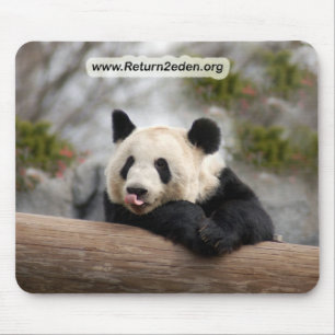 PandaM021 Mousepad