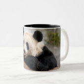 PandaM021 Zweifarbige Tasse (VorderseiteRechts)