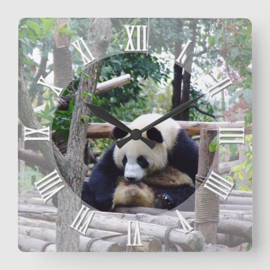 Panda's Advice "Always time for a break" / Panda Quadratische Wanduhr (Vorderseite)