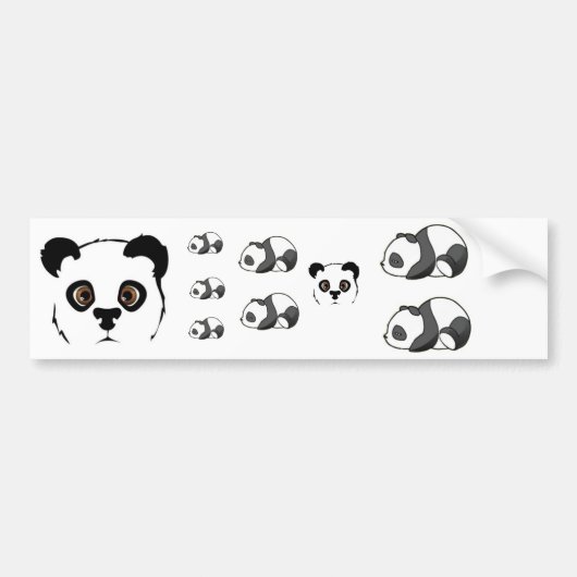 Pandas Autoaufkleber (Vorne)