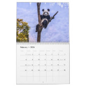 Pandas der China, 2019 Wandkalender (Feb 2026)