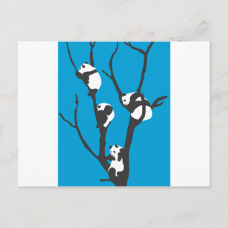 Pandas Hangin' Out Postkarte