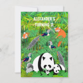 Pandas Lady Amherst's Fasants Red Pandas Bamboo Einladung (Vorderseite)