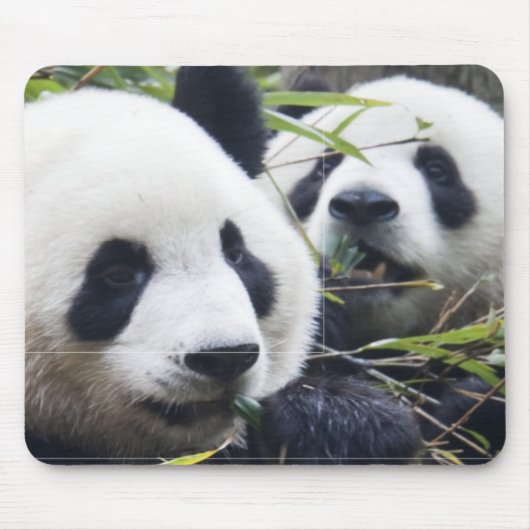 Pandas Mousepad (Vorne)