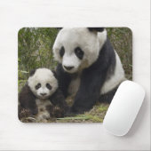 Pandas Mousepad (Mit Mouse)
