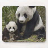 Pandas Mousepad (Vorne)