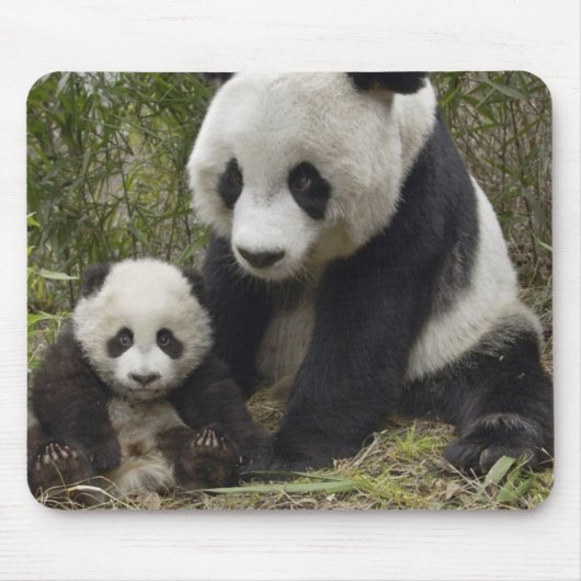Pandas Mousepad (Vorne)
