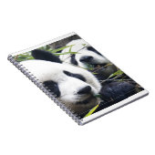 Pandas Notizblock (Rechte Seite)