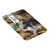 Pandas oder Koalas - Was sind niedlicher? Magnet (Rechte Seite)