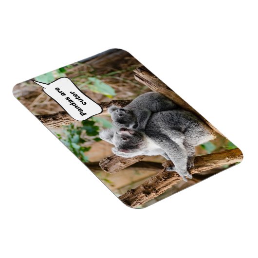 Pandas oder Koalas - Was sind niedlicher? Magnet (Rechte Seite)
