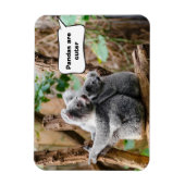 Pandas oder Koalas - Was sind niedlicher? Magnet (Vertikal)