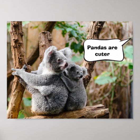 Pandas oder Koalas - Was sind niedlicher? Poster (Vorne)