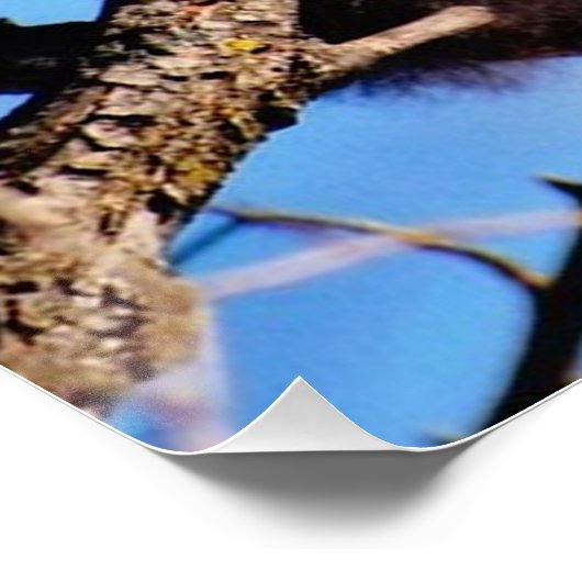 Pandas Poster (Ecke)