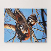 Pandas Puzzle (Horizontal)