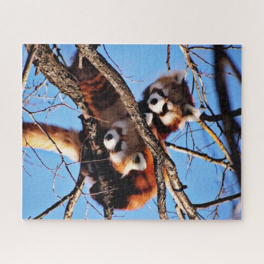 Pandas Puzzle (Horizontal)