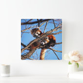 Pandas Quadratische Wanduhr (Zuhause)