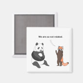Pandas: So nicht verwandtes Magnet (Vorderseite/Rückseite)
