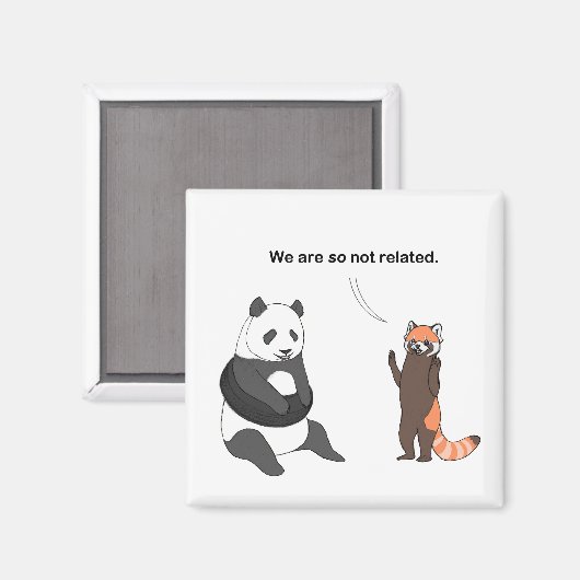 Pandas: So nicht verwandtes Magnet (Vorderseite/Rückseite)