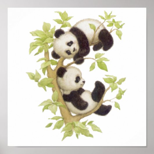 Pandas spielen in einem Baum Poster (Vorne)