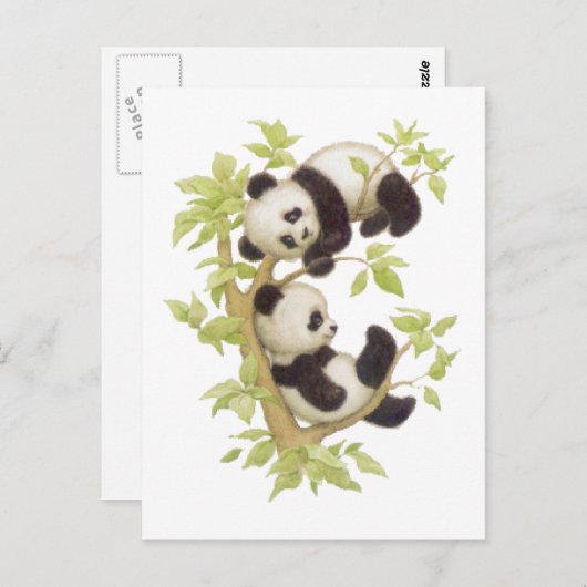 Pandas spielen in einem Baum Postkarte (Vorne/Hinten)