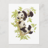 Pandas spielen in einem Baum Postkarte (Vorderseite)