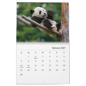 Pandas Wall Calendar Kalender (Feb 2027)