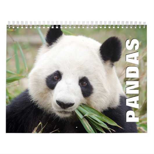Pandas Wall Calendar Kalender (Titelbild)