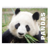 Pandas Wall Calendar Kalender (Titelbild)