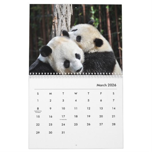 Pandas Wall Calendar Kalender (Mär 2026)