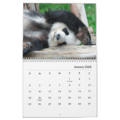 Pandas Wall Calendar Kalender (Jan 2026)
