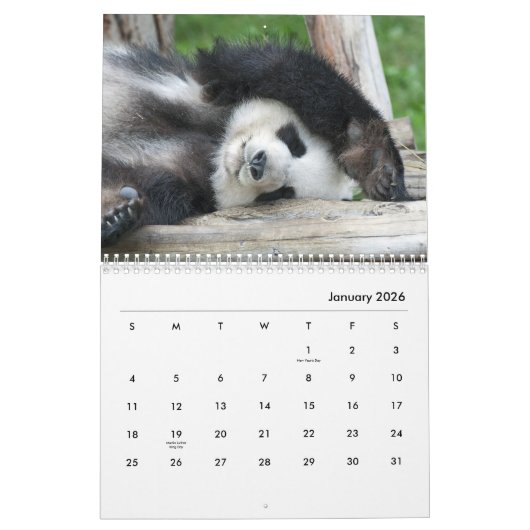 Pandas Wall Calendar Kalender (Jan 2026)