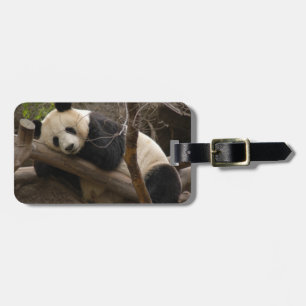 PandaSD003 Gepäckanhänger