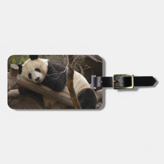 PandaSD003 Gepäckanhänger (Vorderseite horizontal)