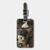 PandaSD003 Gepäckanhänger (Vorderseite vertikal)