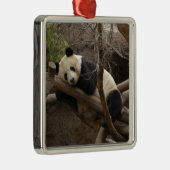 PandaSD003 Silbernes Ornament (Rechts)