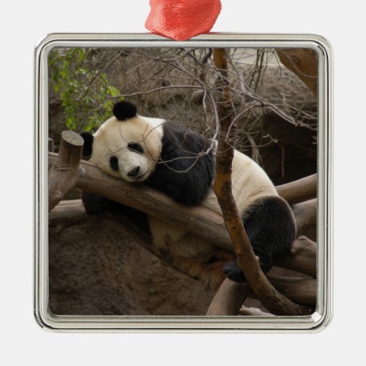 PandaSD003 Silbernes Ornament (Vorne)