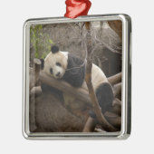 PandaSD003 Silbernes Ornament (Links)