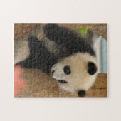 PandaSD009 Puzzle (Horizontal)