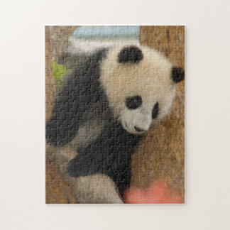 PandaSD009 Puzzle
