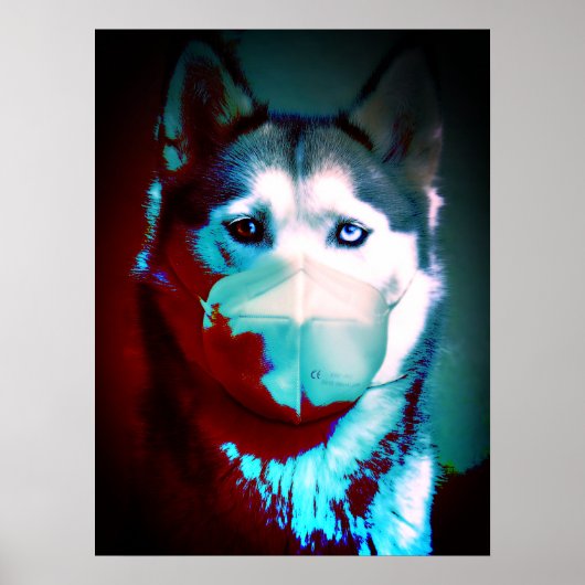 Pandemie inspiriert Hund mit Maskendarstellung Poster (Vorne)