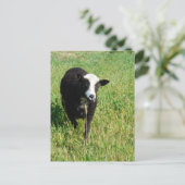 Pandi Postkarte (Stehend Vorderseite)