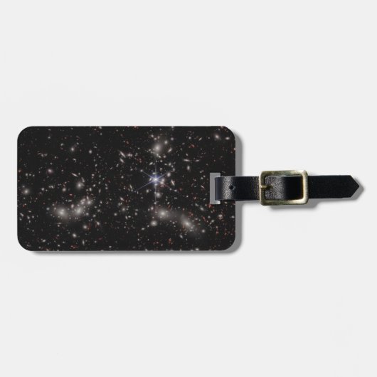 Pandora-Cluster Gepäckanhänger (Vorderseite horizontal)