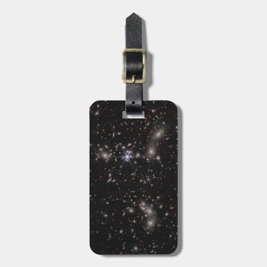 Pandora-Cluster Gepäckanhänger (Vorderseite vertikal)